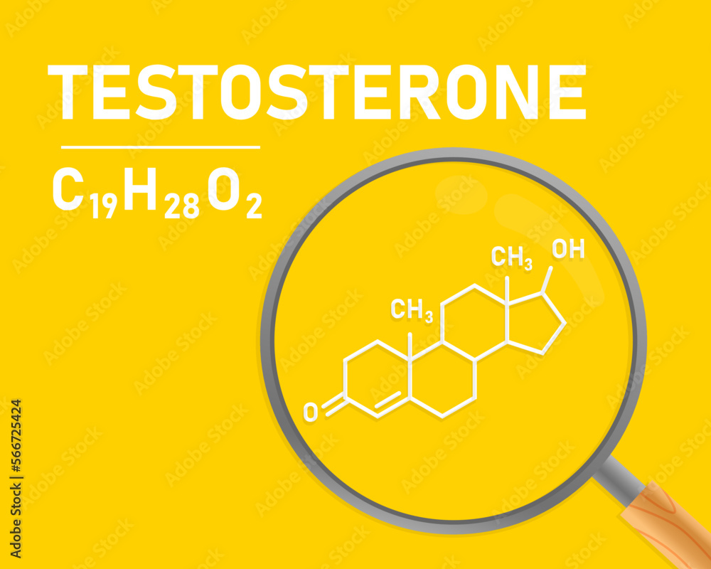 Testosterone. Testosterone molecule and magnifying glass. The concept