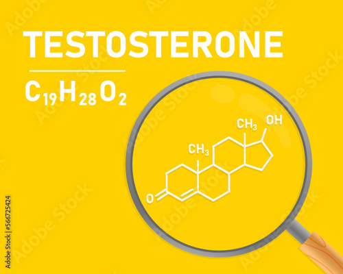 Testosterone. Testosterone molecule and magnifying glass. The concept of testosterone analysis. Male hormone vector illustration.