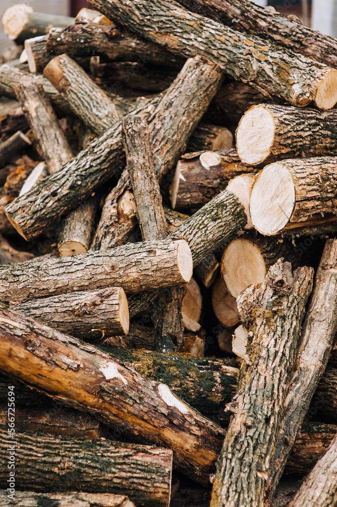 A large pile of pine, coniferous logs, sawn forest trees at a sawmill. Photography, harvesting for the winter in nature. A large pile of pine, coniferous logs, sawn forest trees at a sawmill. Photography, harvesting for the winter in nature.