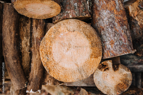 Φωτογραφία Background, texture of pine, coniferous logs, sawn trees in a row