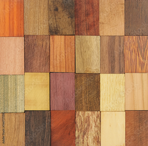 Background from various samples of wood