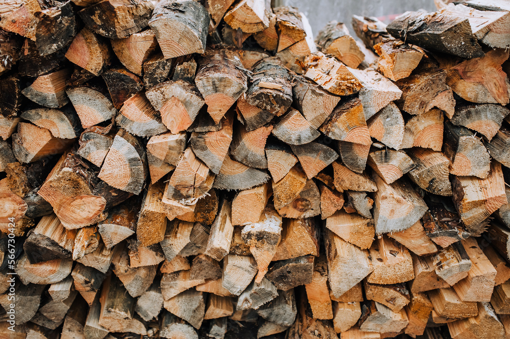 Chopped, sawn spruce firewood lies in a warehouse in a greenhouse for trees. Close-up photo. Chopped, sawn spruce firewood lies in a warehouse in a greenhouse for trees. Close-up photo.