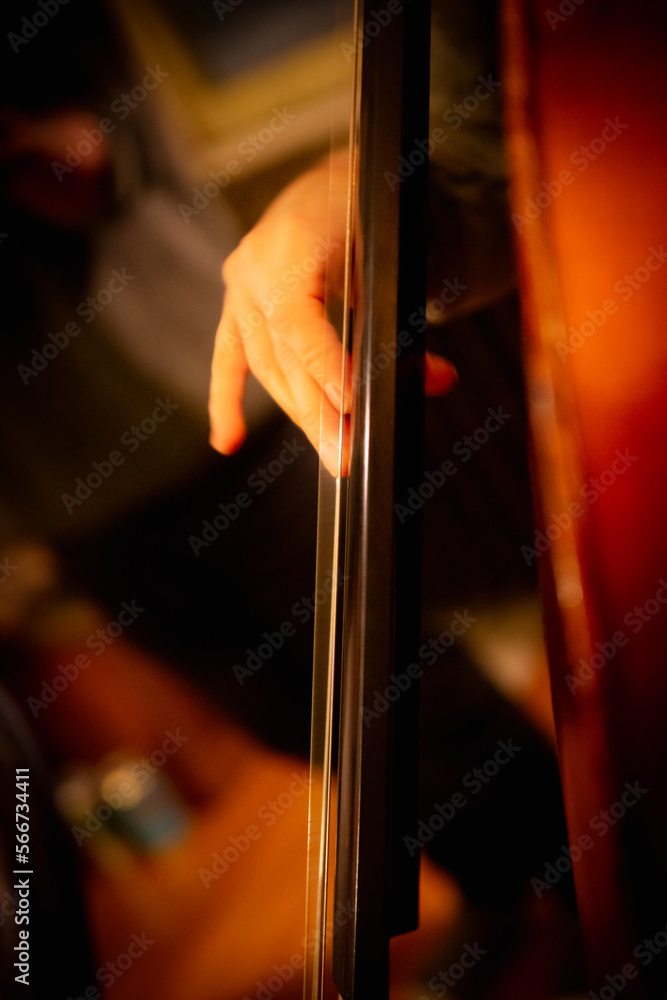 Jazz musician playing acoustic bass in house live music show Jazz musician playing acoustic bass in house live music show