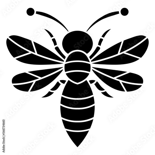 Wasp