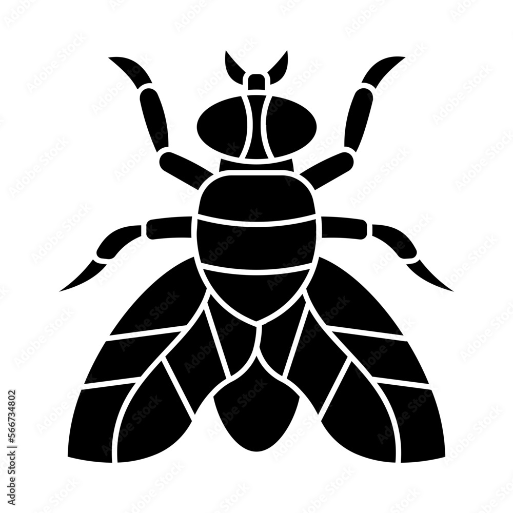 Flies Flies