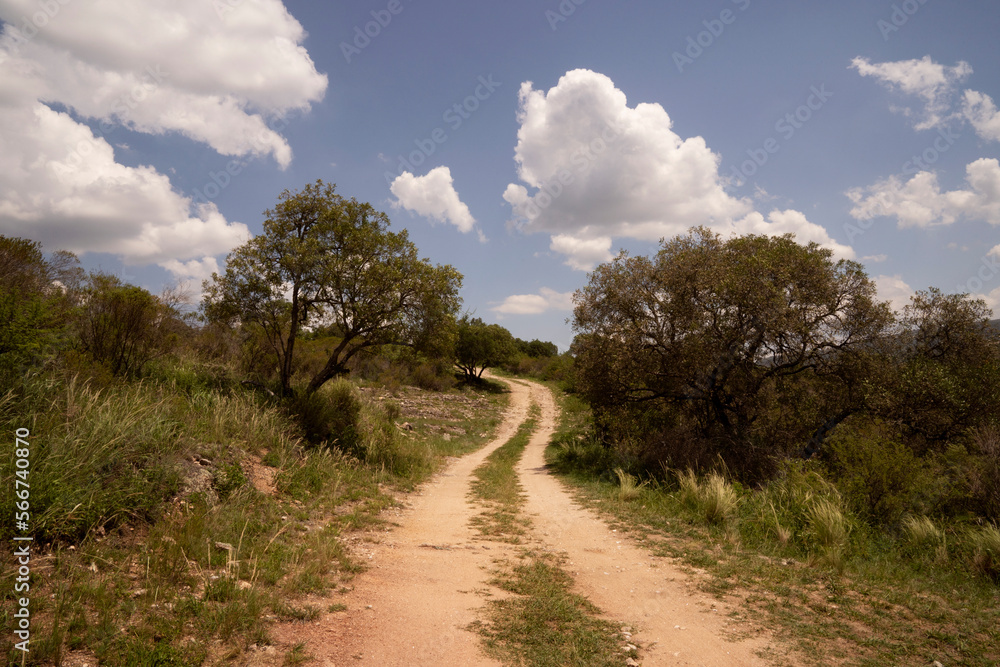 View of the empty dirt road across the hills and meadow in a sunny day with a blue sky with clouds. View of the empty dirt road across the hills and meadow in a sunny day with a blue sky with clouds.