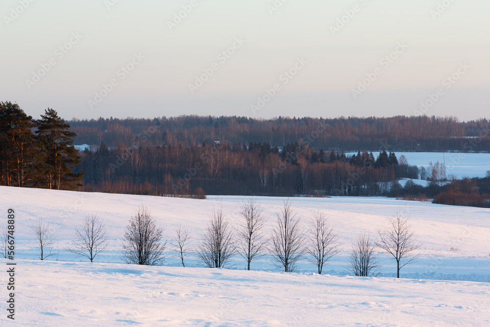 sunny, snowy winter day in the countryside sunny, snowy winter day in the countryside