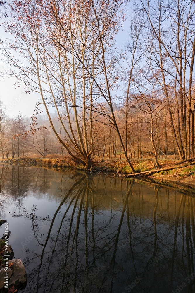 Winter landscape with a quiet river