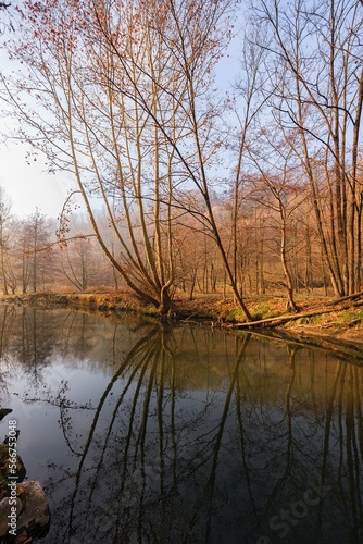 Winter landscape with a quiet river