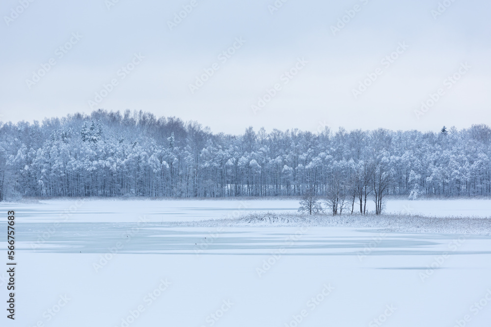 sunny, snowy winter day in the countryside sunny, snowy winter day in the countryside