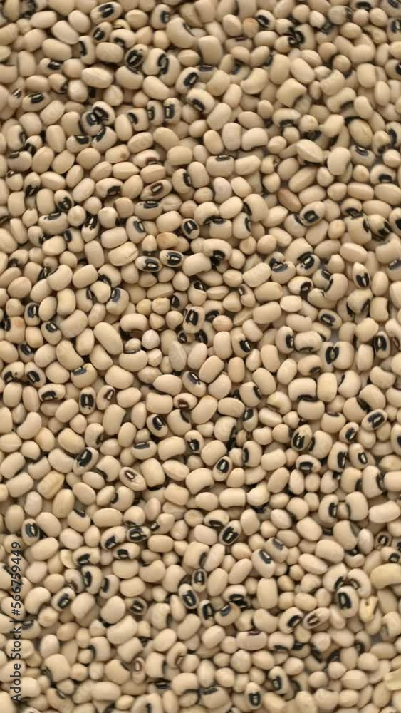Black-eye beans background texture. Table spin. Seamless loop Vertical video. Black-eye beans background texture. Table spin. Seamless loop Vertical video.