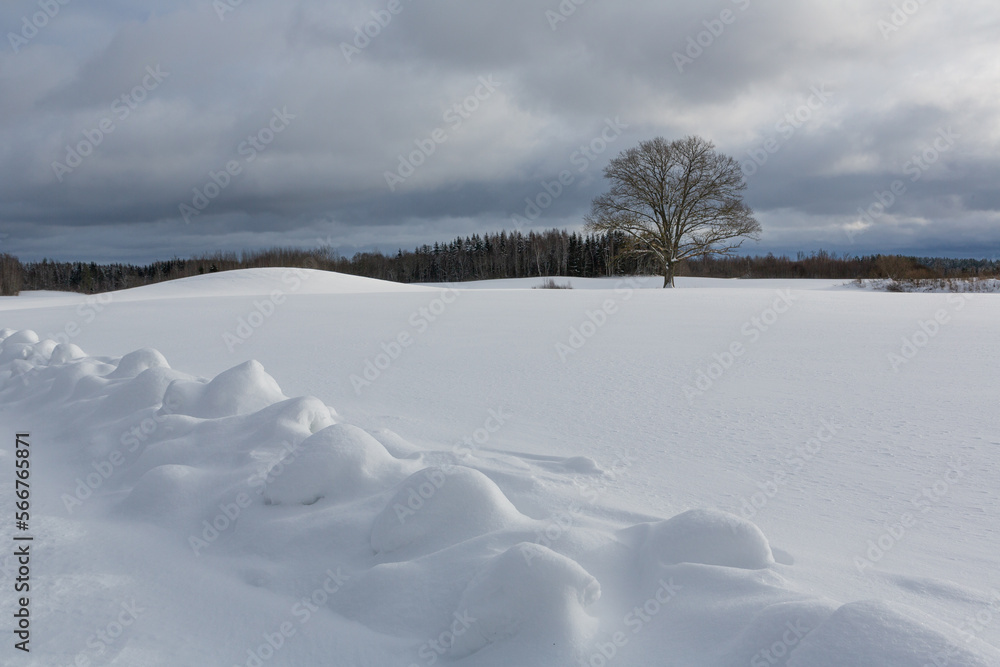 sunny, snowy winter day in the countryside sunny, snowy winter day in the countryside