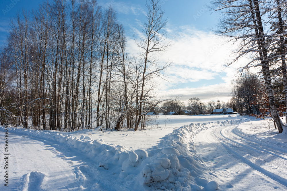 Obraz premium sunny, snowy winter day in the countryside