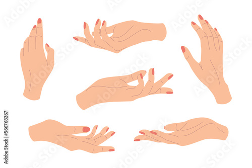 Set of hand gestures in different positions. Vector female hands with manicure showing and holding and representing