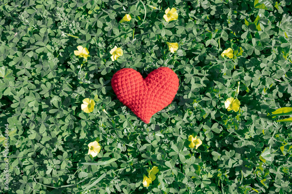 Red crochet heart on green grass among yellow flowers in sunlight Red crochet heart on green grass among yellow flowers in sunlight
