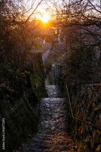 Evening scene in Esztergom  Hungary