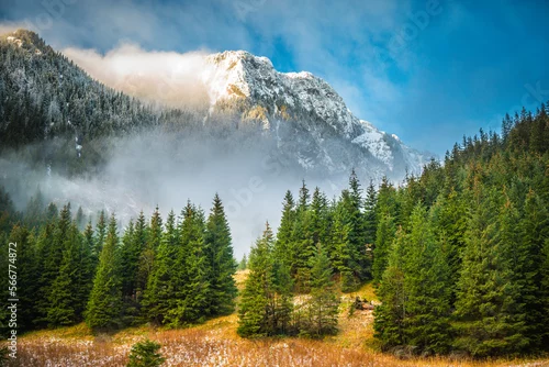 Obraz Dolina Kościeliska - jesień, zima