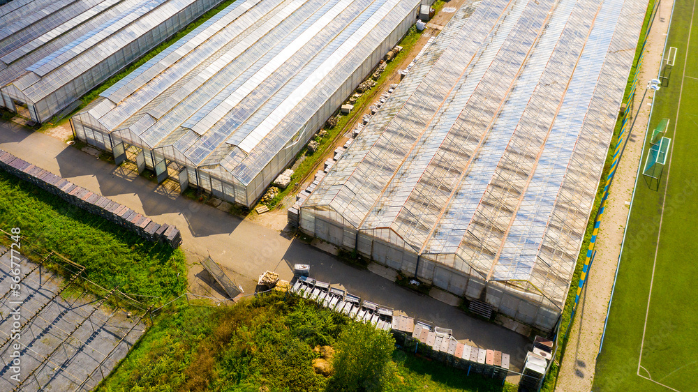 Glasshouse and vegetable plantation from above.
