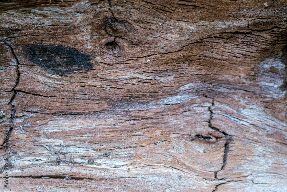 Fototapeta premium tło ze spękanego drewna naturalnego w kolorze brązowym