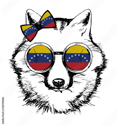 Fox hand drawn portrait. Patriotic sublimation in colors of national flag on white background. Venezuela