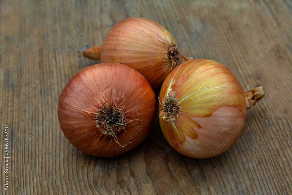 Heap of onion bulbs on the kitchen wooden table Heap of onion bulbs on the kitchen wooden table