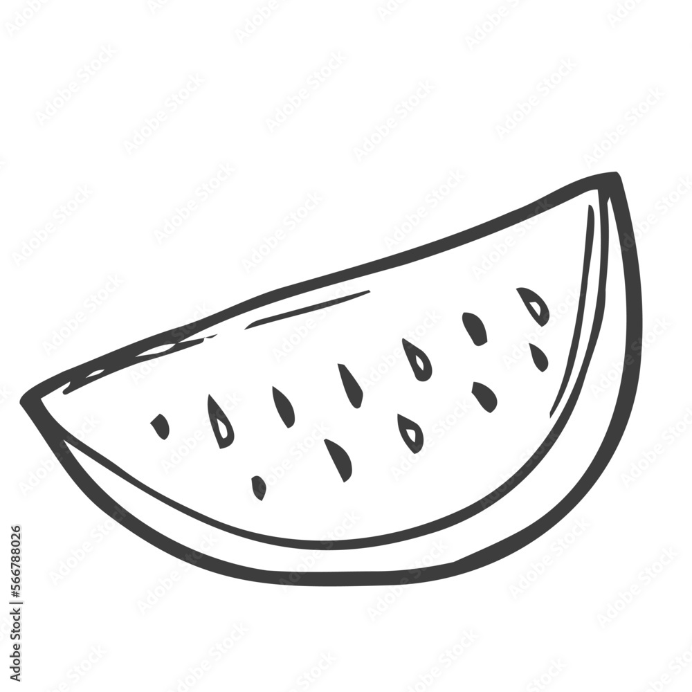 Slice and whole of watermelon outline. Coloring page. Vector illustration isolated on white.