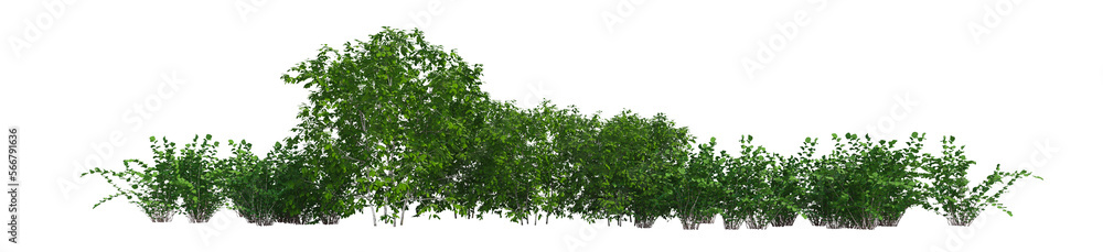 3d green bushes isolated on white background
