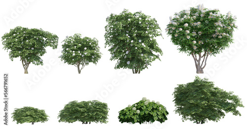 Set of 3D flowers and green bushes isolated on PNGs transparent background   Use for visualization in graphic design