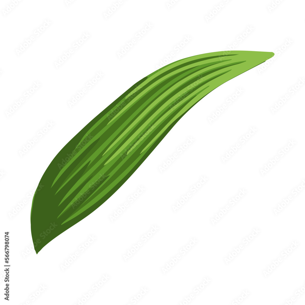 Green leaf flowers. Set for postcard, poster, ad, decor, fabric and other uses. Vector isolated illustration. Leaves of bluebell or lily of the valley. Green leaf flowers. Set for postcard, poster, ad, decor, fabric and other uses. Vector isolated illustration. Leaves of bluebell or lily of the valley.