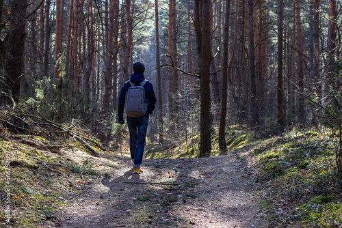 Wallpaper Mural  one man walks in a pine forest in the spring during the cold season Torontodigital.ca