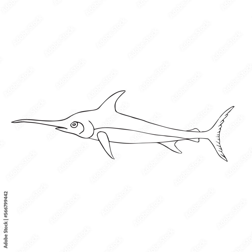 Fototapeta premium Vector hand drawn doodle sketch swordfish isolated on white background