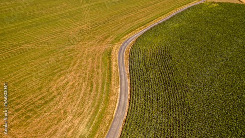 Cornfield with road an grassfield