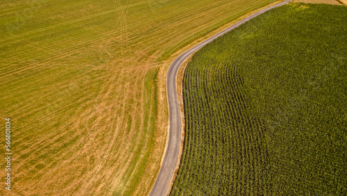 Foto Cornfield with road an grassfield