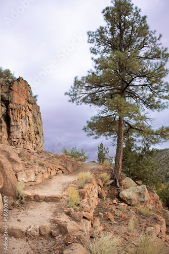 climbing the Frey trail out of Frioles canyon Bandelier National Monument New Mexico