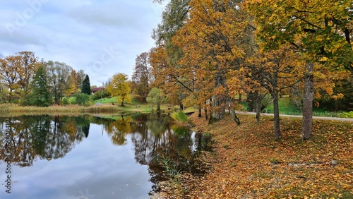 On the shore of small lake trees and shrubs with golden autumn yellow leaves