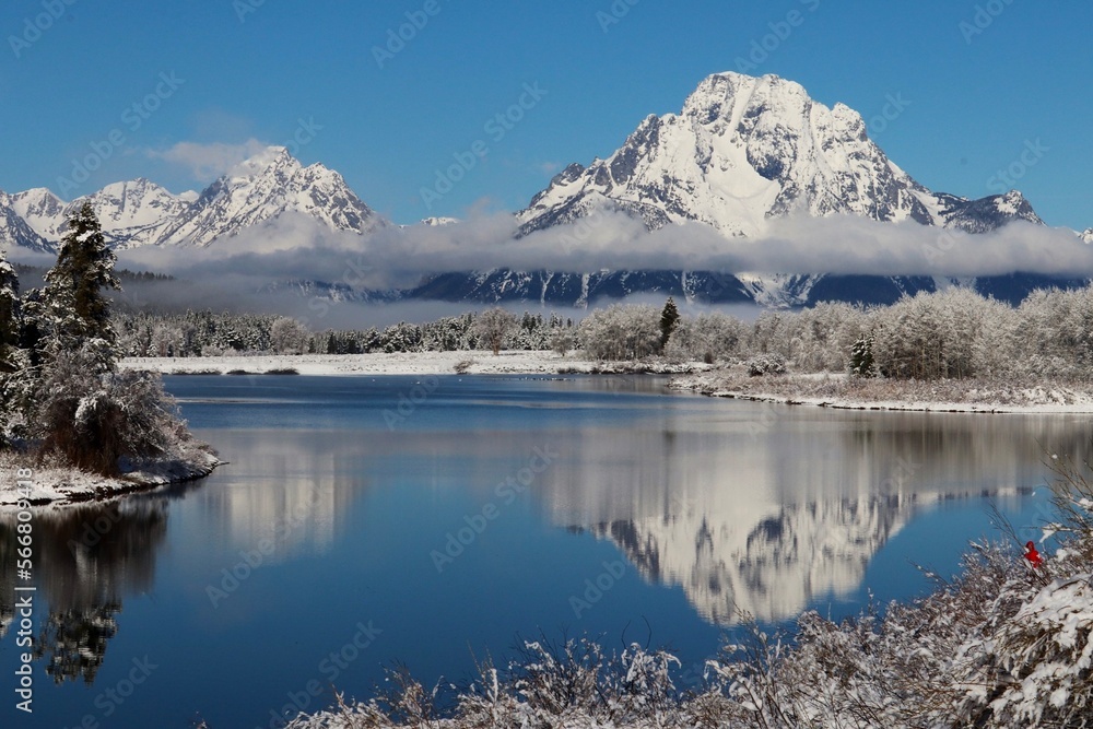 Mt. Moran & Oxbow Bend