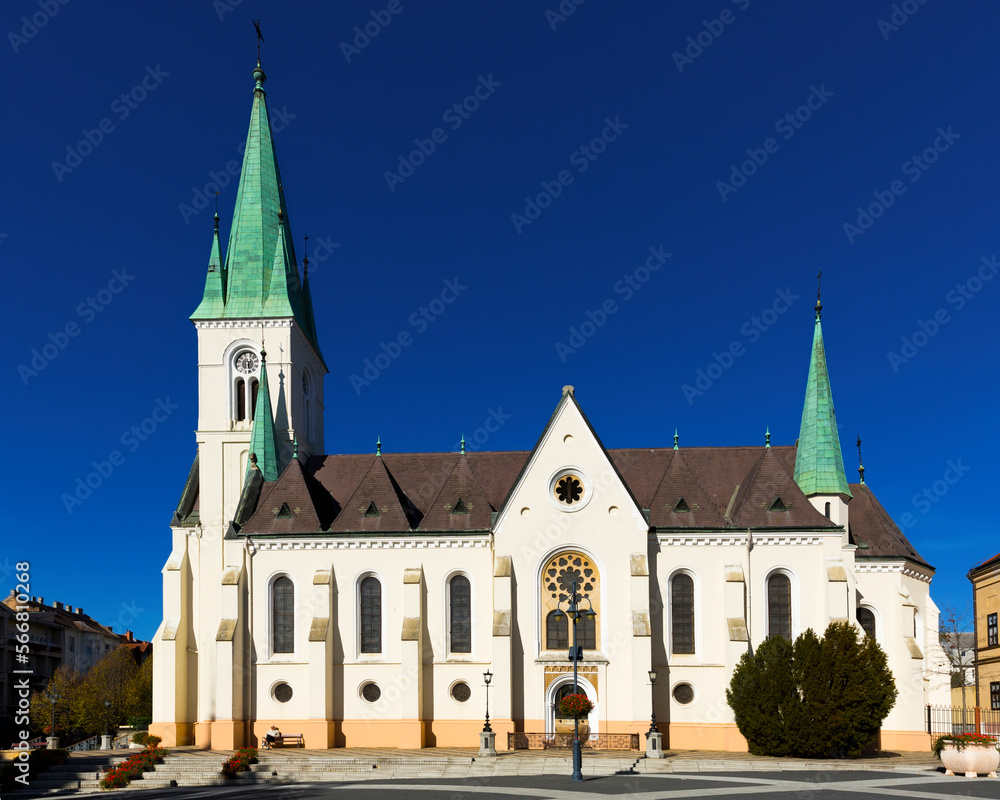 Our Lady of the Assumption Cathedral, Kaposvar, Hungary