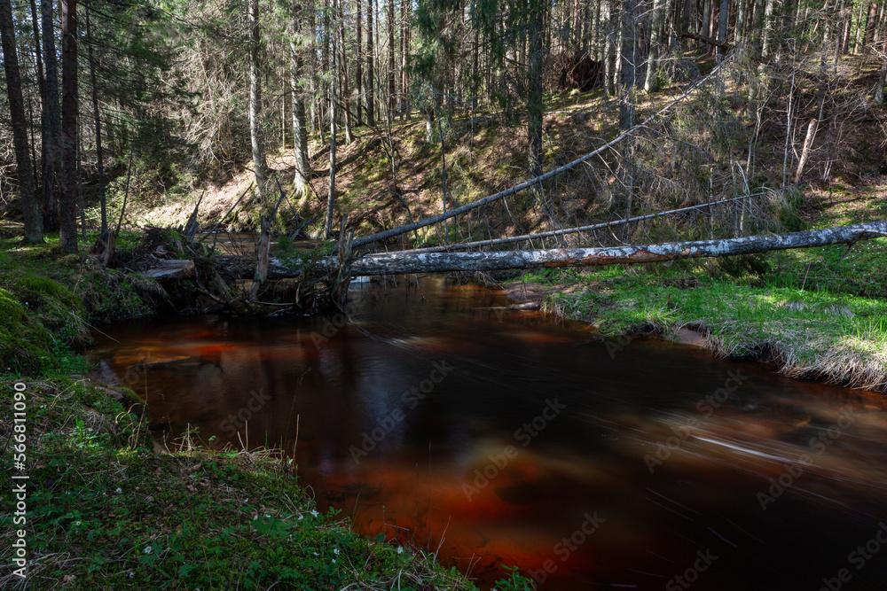 A small forest stream with sandstone outcrops A small forest stream with sandstone outcrops