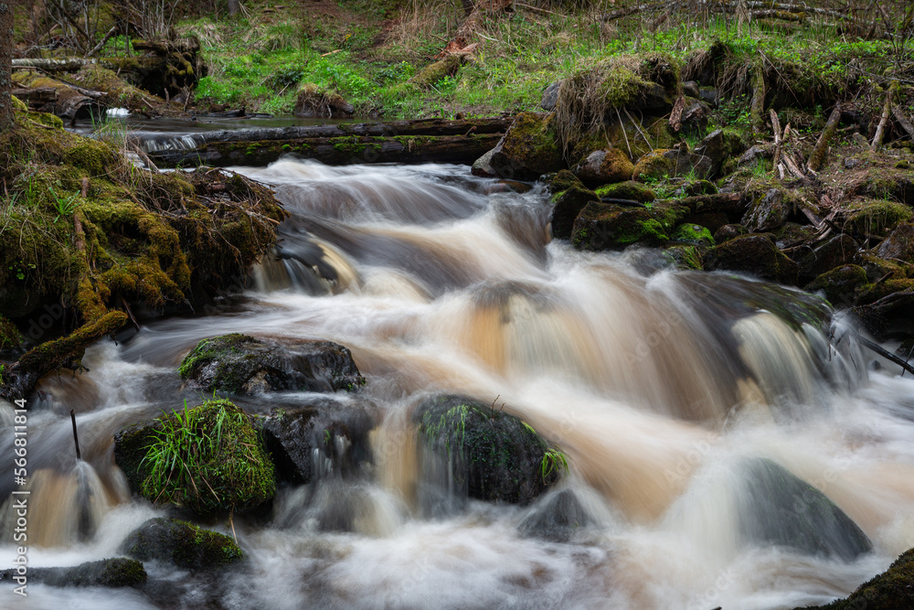 Fototapeta premium A small forest stream with sandstone outcrops, ligatne