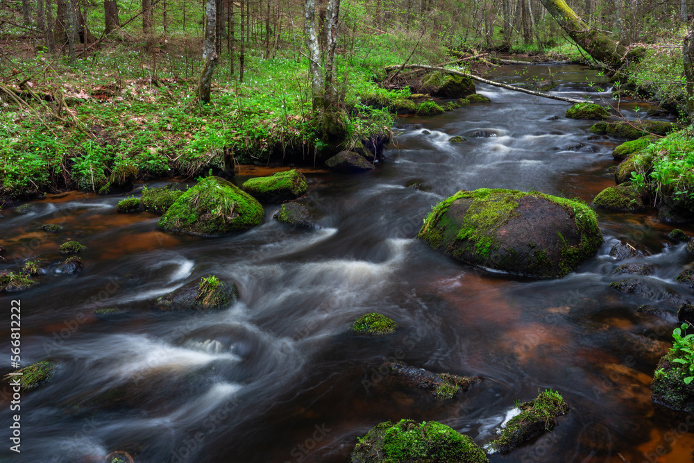 A small forest stream with sandstone outcrops, ligatne A small forest stream with sandstone outcrops, ligatne
