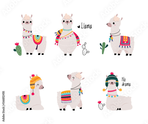 Pretty Wolly Llama or Alpaca Wearing Knitted Hat and Blanket in Different Pose Vector Set