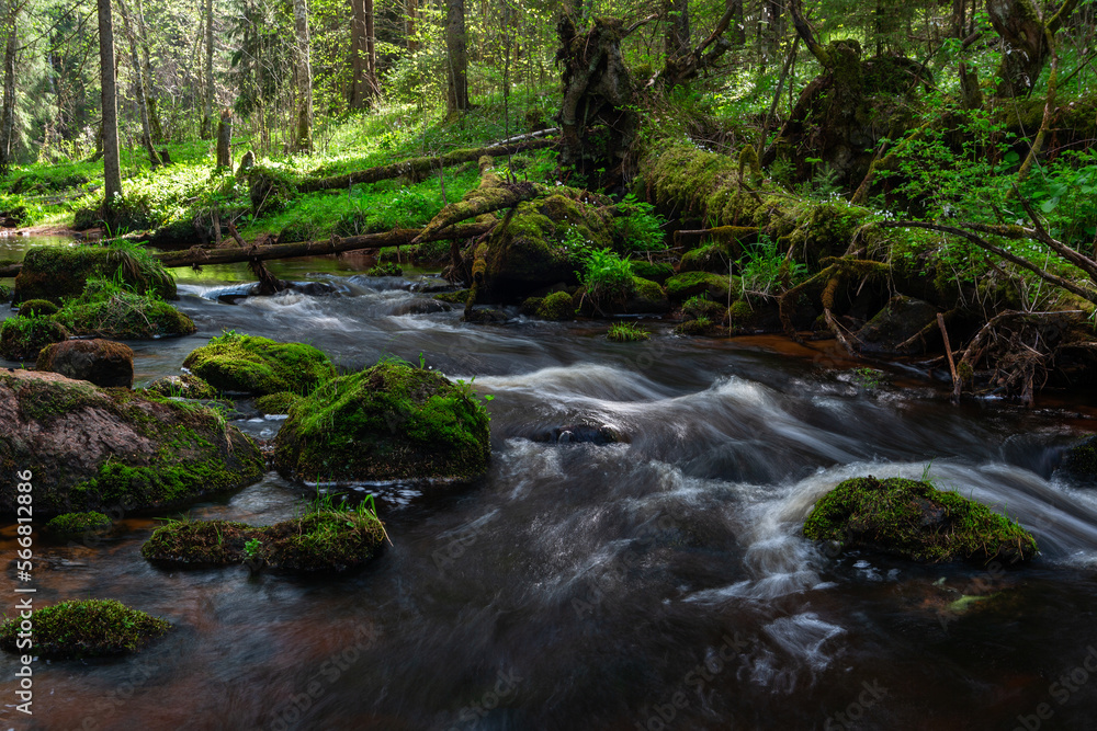 A small forest stream with sandstone outcrops, ligatne A small forest stream with sandstone outcrops, ligatne