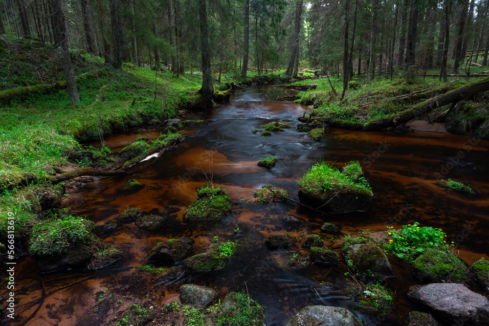 A small forest stream with sandstone outcrops A small forest stream with sandstone outcrops