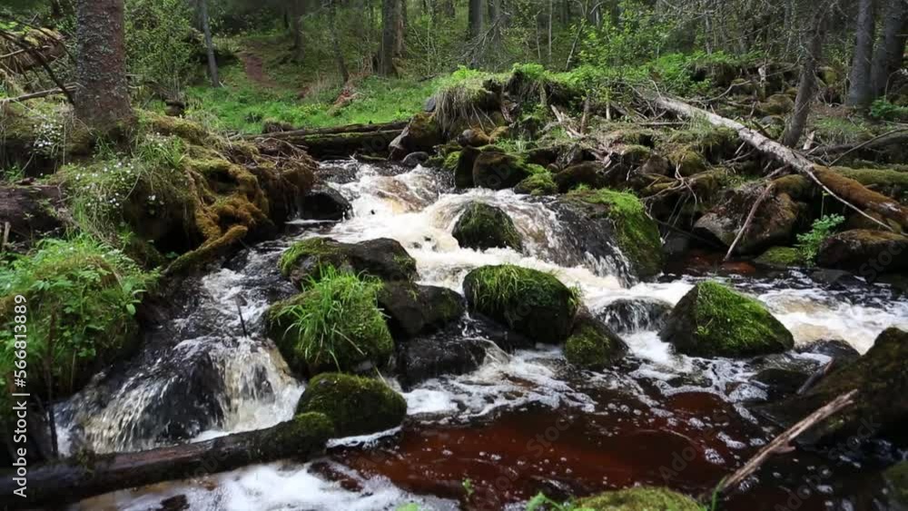 A small forest stream with sandstone outcrops A small forest stream with sandstone outcrops