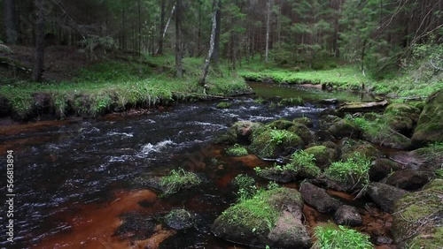 A small forest stream with sandstone outcrops
