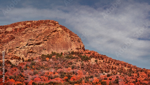 Scenic View in the Fall