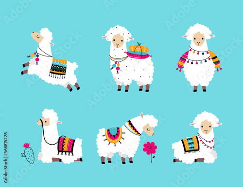 Pretty Wolly Llama or Alpaca Wearing Knitted Blanket in Different Pose on Blue Background Vector Set