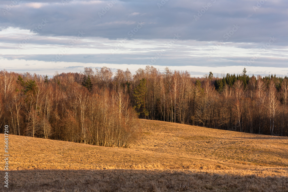 Fototapeta premium Cultivated crop fields in the spring