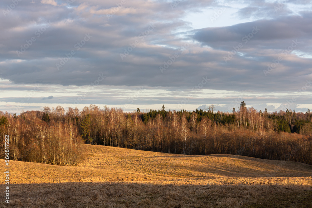 Naklejka premium Cultivated crop fields in the spring