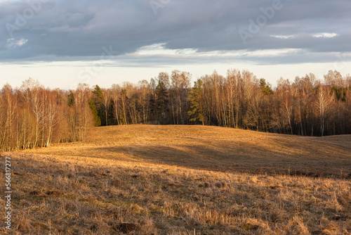 Wallpaper Mural Cultivated crop fields in the spring Torontodigital.ca